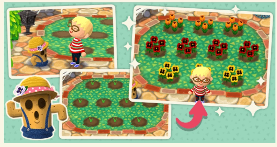 Animal Crossing: Pocket Camp - New update adding gardening ...