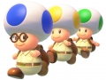 Captain Toad (35)