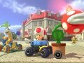 Mario Kart 8 (22)