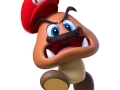 Super Mario odyssey (15)