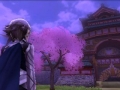 Fire Emblem Fates (30)