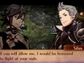 Fire Emblem Fates (50)