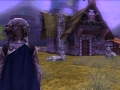 Fire Emblem Fates (55)