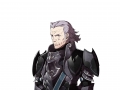 Fire Emblem Fates (32)