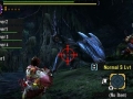 Monster Hunter Generations (37)