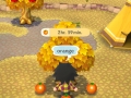 ACPC (14)