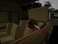 Body of Evidence (1)