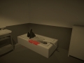 Body of Evidence (2)