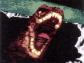dino-crisis-gameboy-color-cancelled-trex.png
