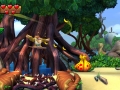 DKCTF (3)