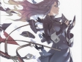 Fire Emblem Awakening