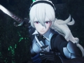 Fire Emblem Warriors (14)