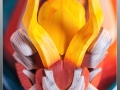 58