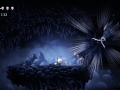 Hollow Knight (13)