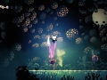 Hollow Knight (21)