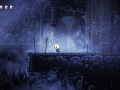 Hollow Knight (23)