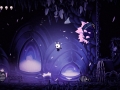 Hollow Knight (27)