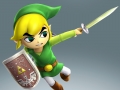 Hyrule Warriors Legends (9)