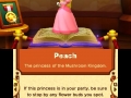 Mario Party Star Rush (15)