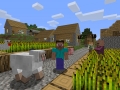 Minecraft (4)