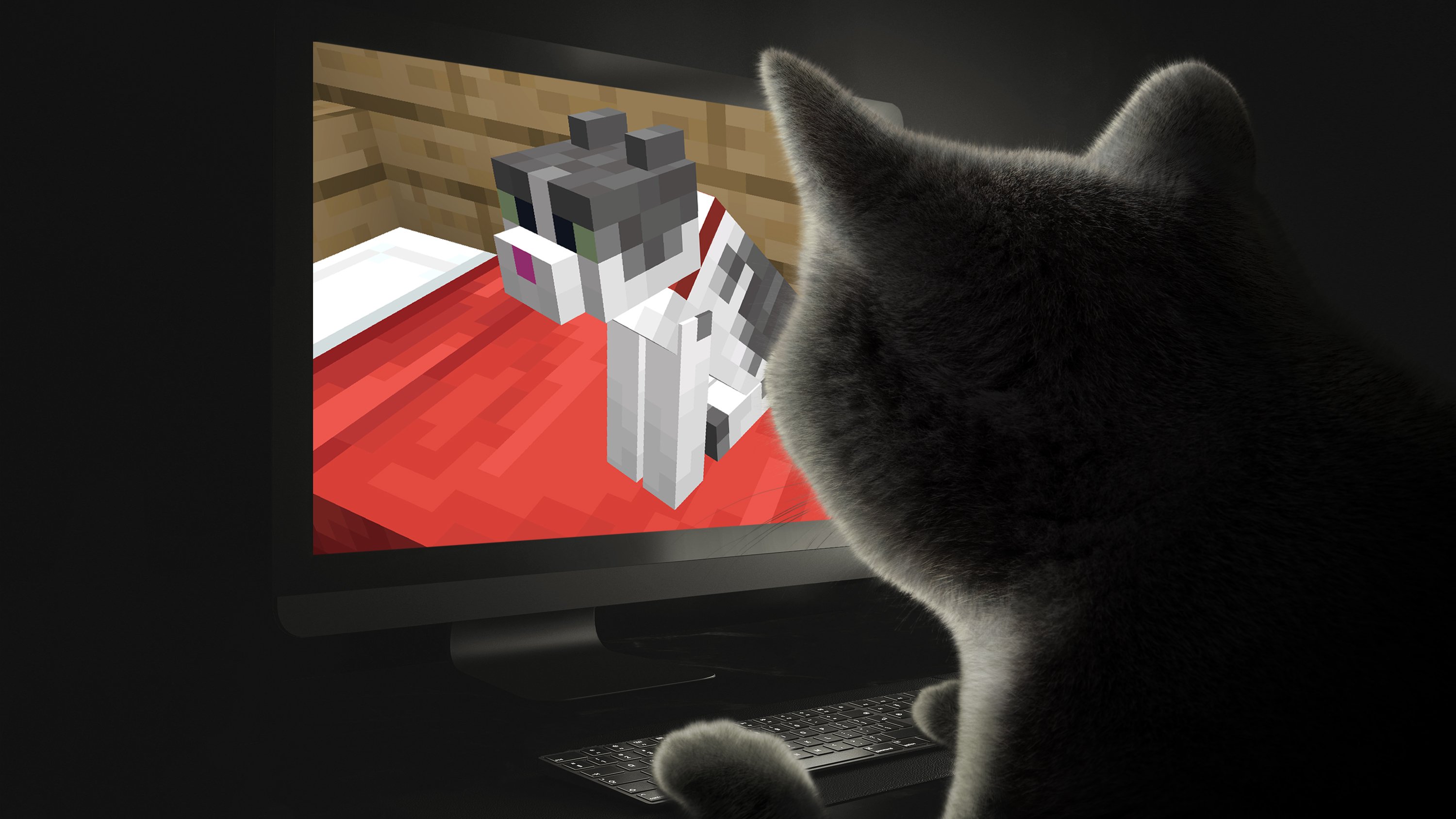 Today, the winning cat of the Minecraft Cat Contest: it’s Jellie! 
