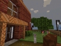 Minecraft (3)