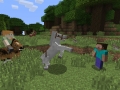 Minecraft (6)