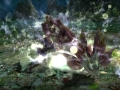 Monster Hunter X (18)