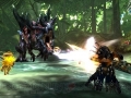 Monster Hunter X (4)