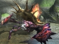 Monster Hunter X (47)