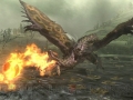 Monster Hunter X (51)