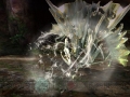 Monster Hunter X (75)