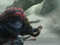 Monster Hunter X (9)