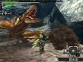 Monster Hunter X (94)