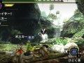 Monster Hunter X (13)