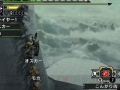 Monster Hunter X (27)