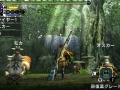 Monster Hunter X (38)