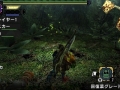 Monster Hunter X (39)