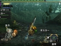 Monster Hunter X (40)