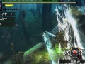 Monster Hunter X (6)