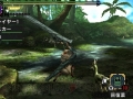 Monster Hunter X (7)