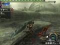 Monster Hunter X (78)