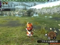 Monster Hunter X (36)