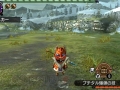 Monster Hunter X (37)