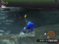 Monster Hunter X (38)