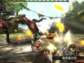 Monster Hunter X (65)