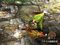 Monster Hunter X (69)