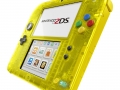 Pokemon 2DS (9)