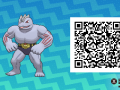 Pokemon Sun and Moon QR Codes (253)