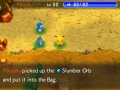 Pokemon Super Mystery Dungeon (15)